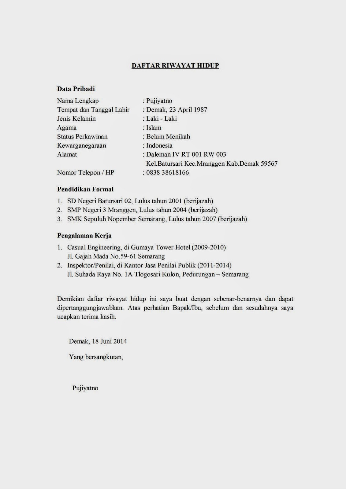 Contoh Curriculum Vitae Terbaru Modern 