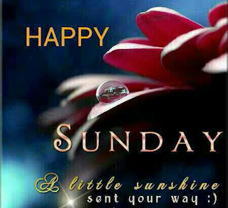 WhatsApp Happy Sunday