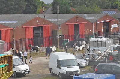 Brigg Horse Fair 2016 - picture 21 on Nigel Fisher's Brigg Blog