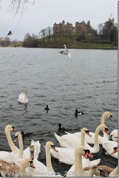 31-linlithgow-loch