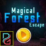 Play Palani Games  Magical For…