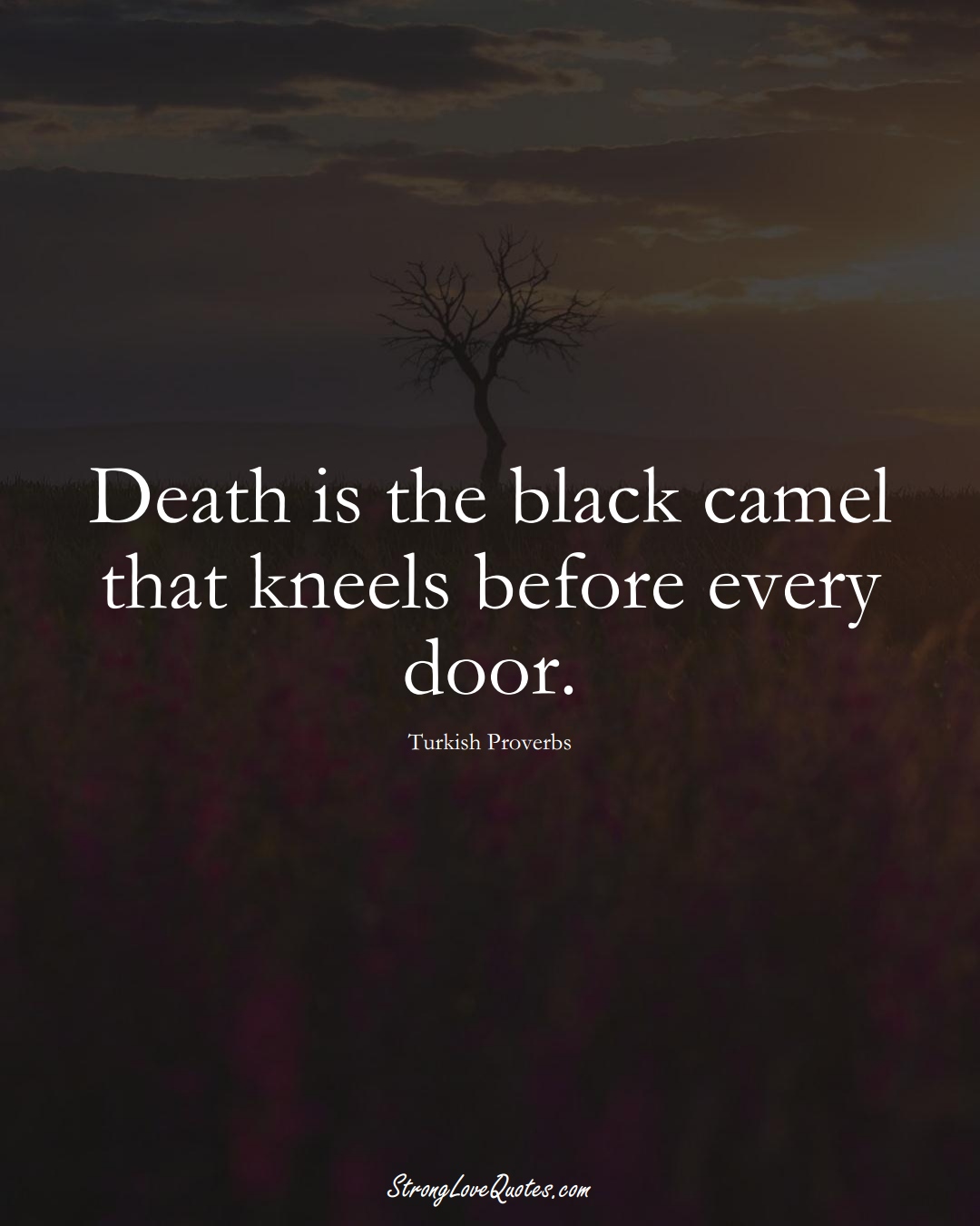Death is the black camel that kneels before every door. (Turkish Sayings);  #MiddleEasternSayings