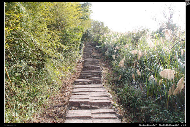 2019-01-01雲林古坑華山-龜仔頭-二尖山唬爛亭-小百岳大尖山