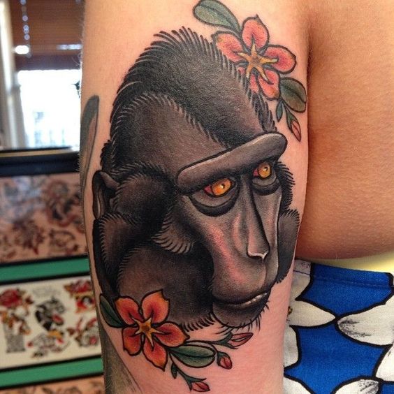 Macaco da antiga escola