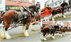 Caballos del Desfile de Acción de Gracias en Plymouth