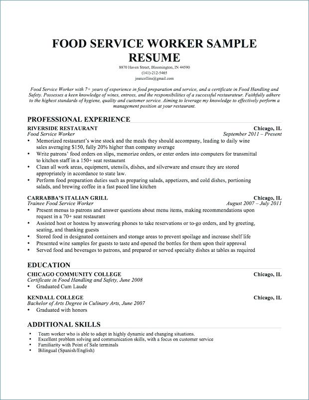 standard resume examples resume example net software developer net software developer resume example resume australian standard resume examples 2019