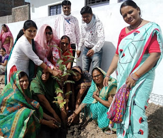 पौधारोपण के साथ ही एफएलएन प्रशिक्षण का हुआ समापन