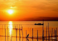 Atardecer en la Albufera de Valencia