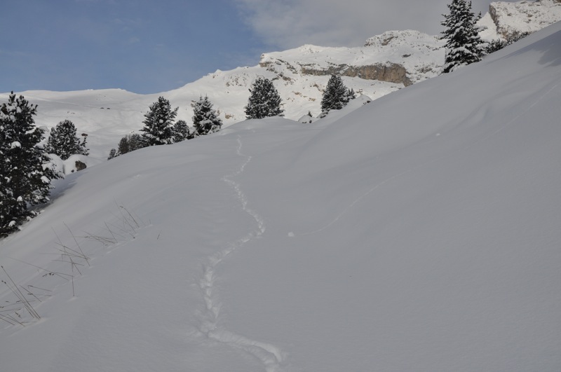 DSC_7506.JPG