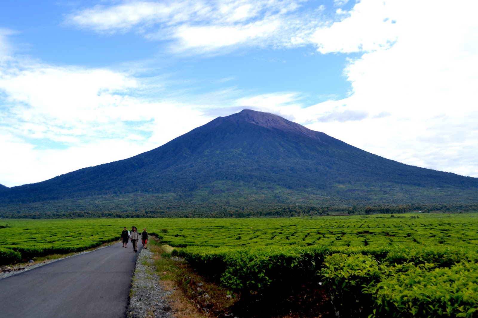 39 Gambar Pemandangan Gunung Di Indonesia Terindah Gambar Pemandangan