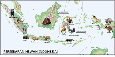Persebaran Flora dan Fauna di Indonesia