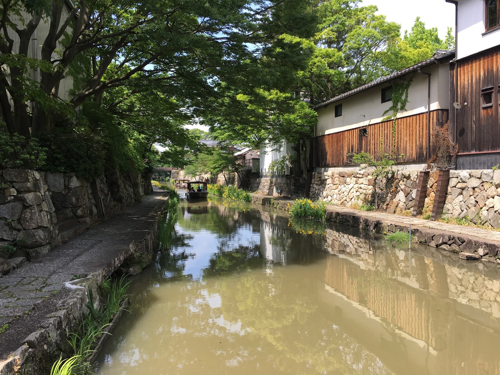 日本關西 美景如畫的水鄉近江八幡