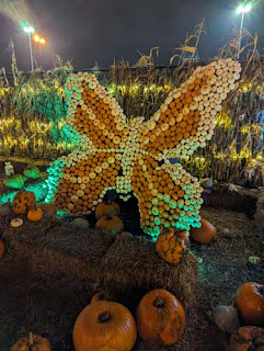 Gourd Butterfly At Scarborough Town Centre Pumpkinville.