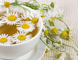 Chamomile Health Benefits And Nutrition Fact