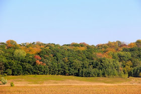 photo of fall colors starting to show