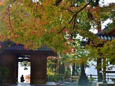 大 興善 寺 紅葉 見頃 234654