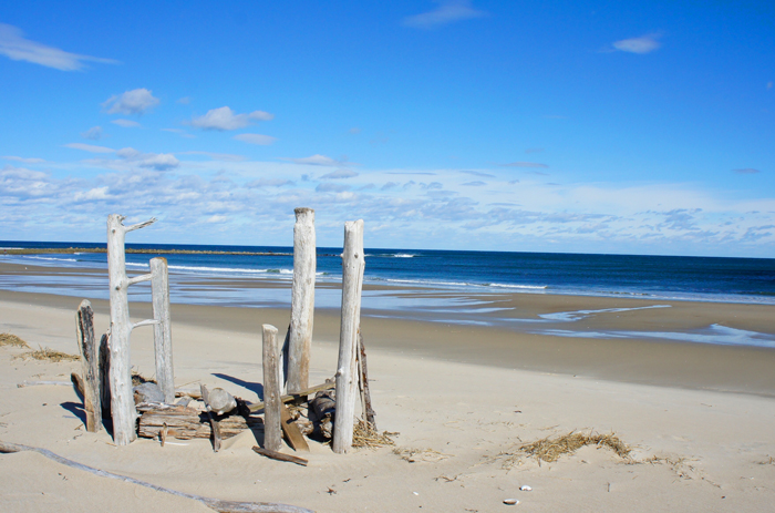 Plum Island Beach