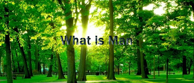 origin of man