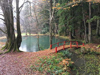 雲洞庵 庭園