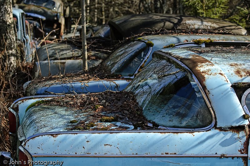 Old rusty cars | Car cemetery