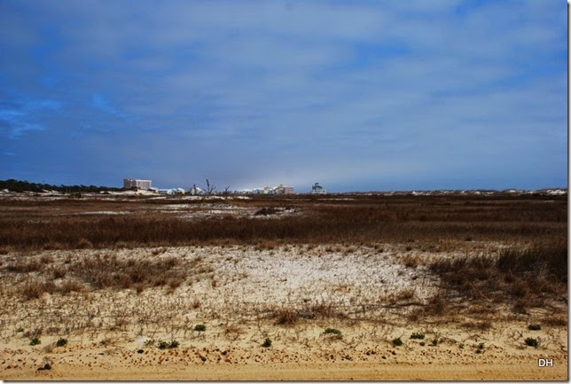 03-03-15 C Refuge Near Fort Morgan (1)