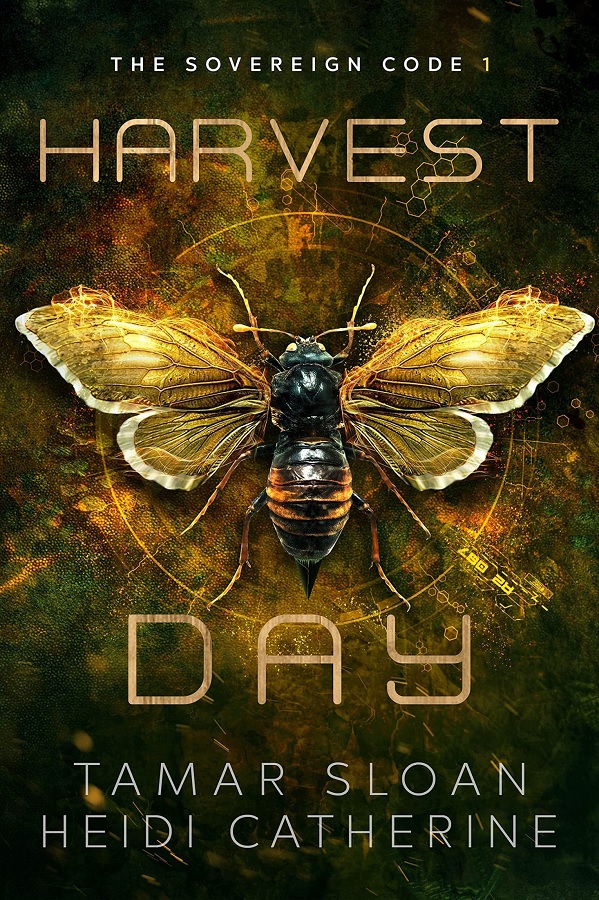 Harvest Day by Heidi Catherine