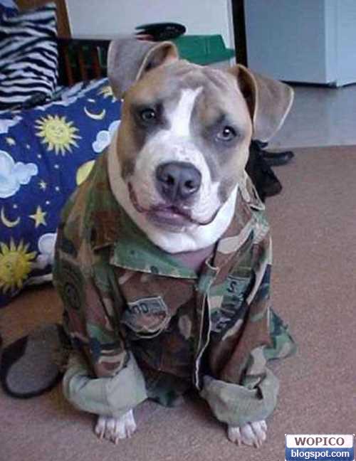In Army Suit