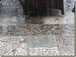 20131122_081327 (Small)