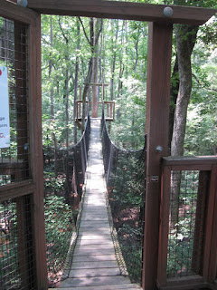 Lynches River County Park Canopy Walk © Katrena