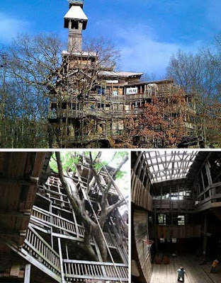 World’s Largest Giant Tree House