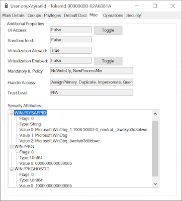 Token security attributes showing WinDbg package identity.