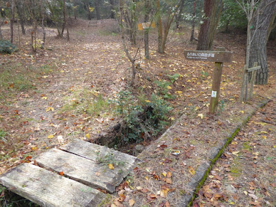 くろんど池 ふれいの森 遊歩道