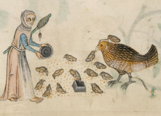 Woman feeding chicks from Luttrell Psalter