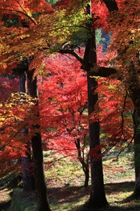 itinomiya066
