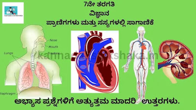 Transportation In Animals And Plants Class 7 Questions And Answers In Kannada Medium