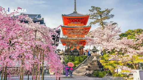 Kyoto Calling: Unveiling the Best Spots to Witness the Cherry Blossom Spectacle