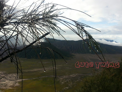 dimana cari view bromo yang bagus di penanjakan