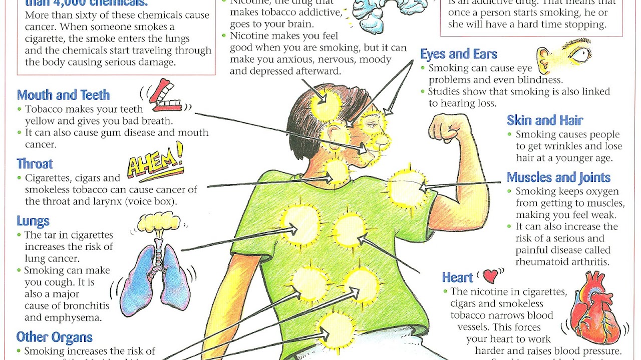 Tobacco Effects On The Body