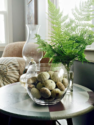 ferns, sea urchins, pottery, beach decor, summer house 