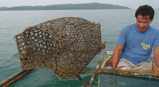 Batang Mangyan: Bamboo Fish Trap (Bubu / Bubo)