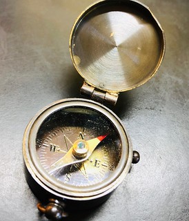 Einstein's Compass compass