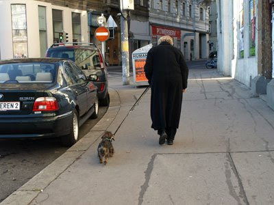 犬の散歩