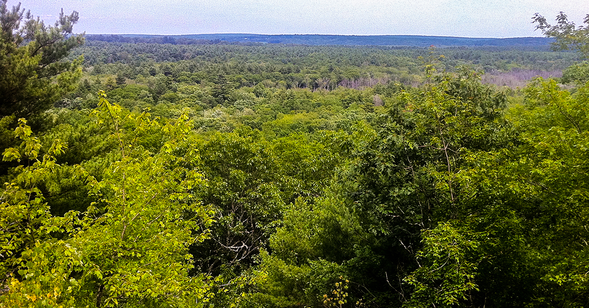 Nehantic Trail - View from Mount Misery. - Morrow Long