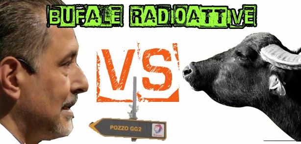 M5S Basilicata: 'Le bufale si abbeverano a sorgenti radioattive?'