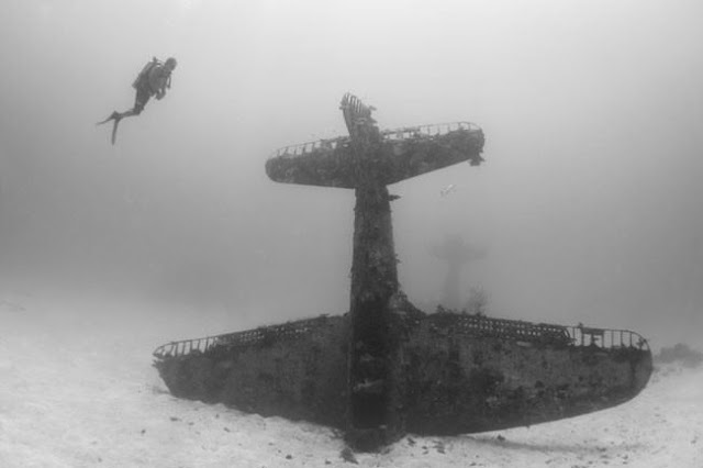 Aviões da Segunda Guerra Mundial abandonados transformados em belos Santuários para a vibrante vida do Oceano