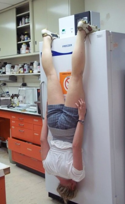 plankin expert WTF