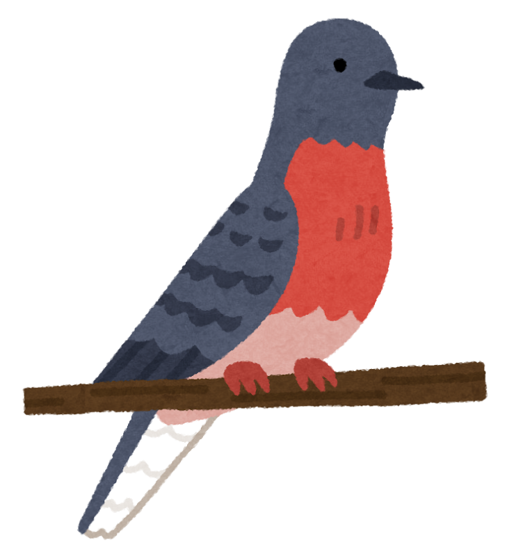 リョコウバトのイラスト かわいいフリー素材集 いらすとや リョコウバトのイラスト かわいいフリー素材集 いらすとや