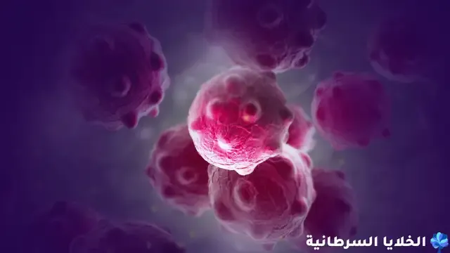 ماهو الفرق بين الخلايا العادية والخلايا السرطانية؟