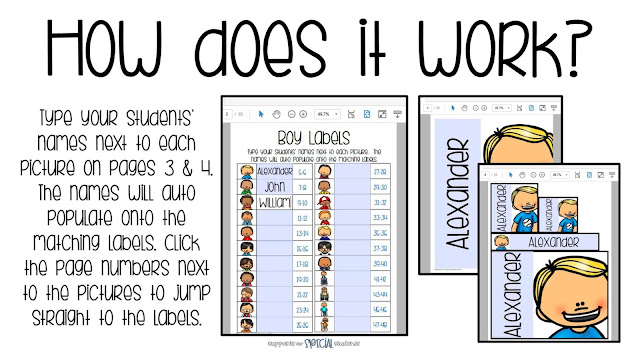 A description of how The Ultimate Set of Student Labels works.  Type names once and they auto populate onto the matching labels.