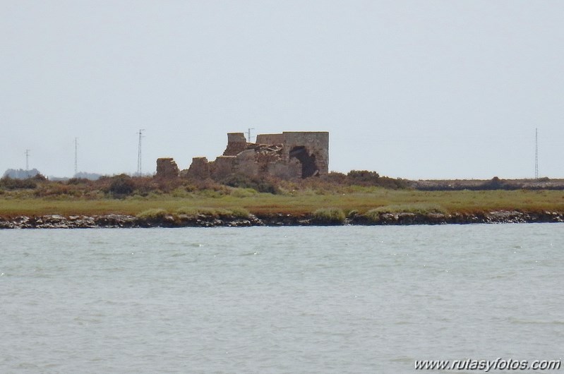 La Magdalena - Caño del Carrascón - Gallineras - Caño de Sancti Petri